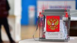 Эксперты Сахалина оценили условия для проведения честных выборов президента