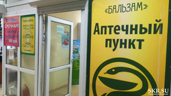 Аптеку в Южно-Сахалинске вытравливают с помощью витаминов