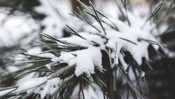 Мороз до -10 градусов прогнозируют синоптики в Южно-Сахалинске 16 ноября