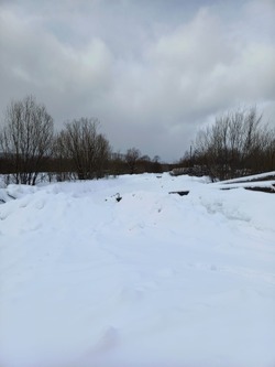 Столбы ЛЭП упали в Тымовском районе