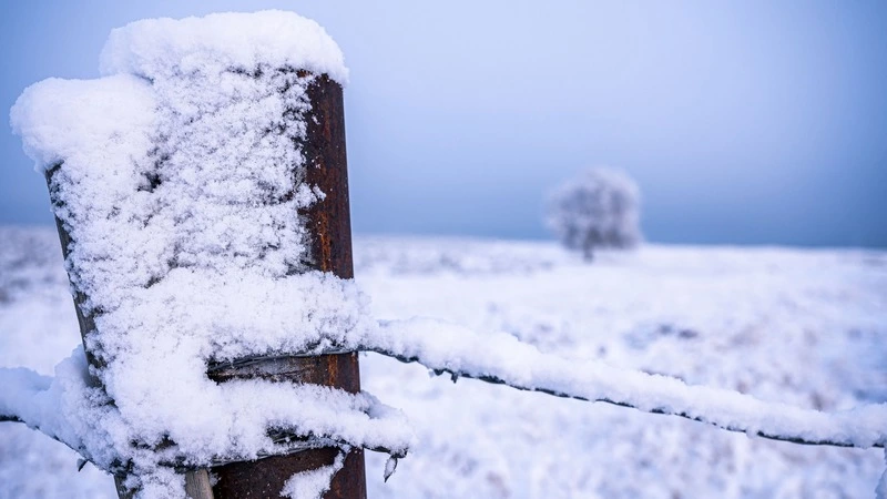 Метель на севере и солнце на юге: прогноз погоды в Сахалинской области на 7 ноября