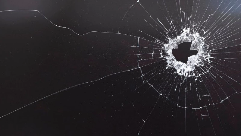 Общественная палата РФ сообщила о массовых расстрелах мирного населения Курской области