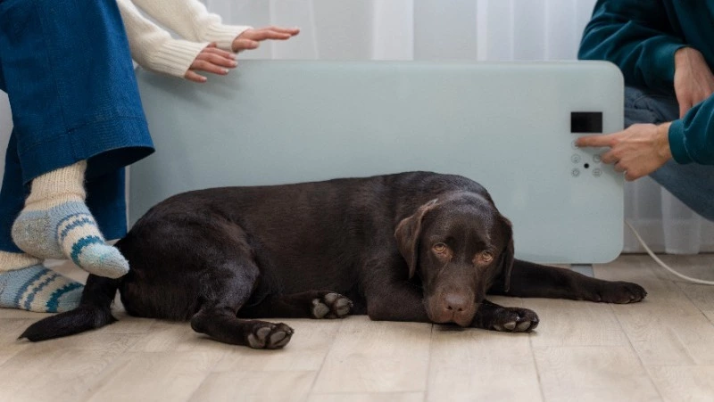 Детский сад и часть Южно-Сахалинска проведут без отопления 17 марта