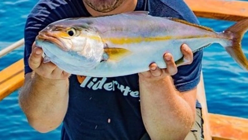 В Японии продан огромный тунец за 11 млн рублей