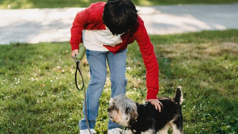 Прокуратура обязала мэрию Южно-Курильска определить место для выгула собак