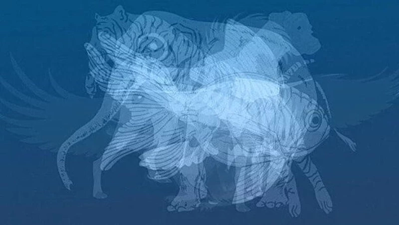 Животное, которое вы увидите первым, расскажет все о вашем характере — ТЕСТ