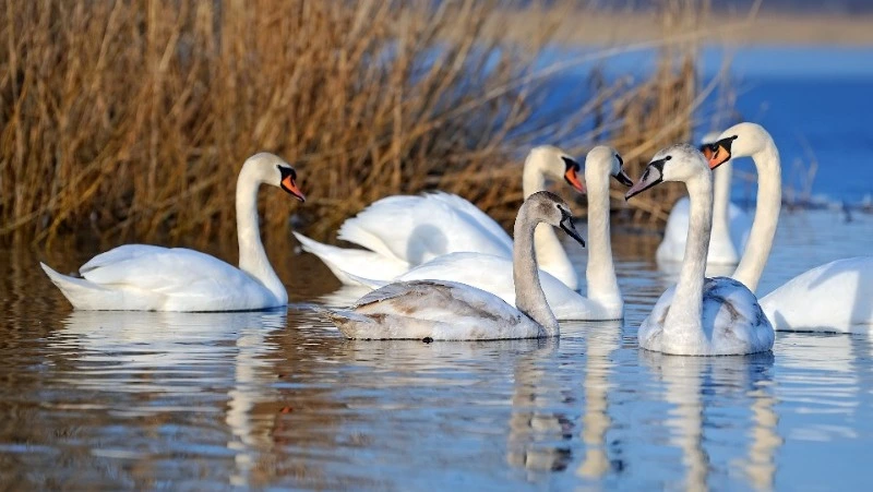 Народные приметы на 31 марта — что можно и нельзя делать в этот день