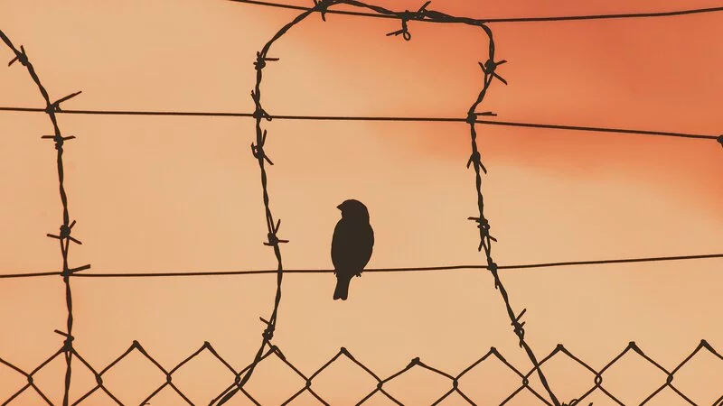 Суд не стал смягчать наказание курильчанке, которая ткнула ножом собутыльника и подругу