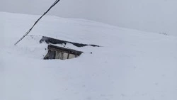 «До понедельника не дотянем»: жительница Южно-Сахалинска попросила о помощи