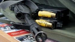 Росгвардия изъяла у сахалинцев 10 ружей и 184 патрона за неделю