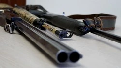 Росгвардия изъяла шесть огнестрельных ружей у сахалинцев за неделю