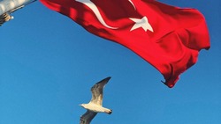 В Турции появится вторая авиакомпания для туристов из России