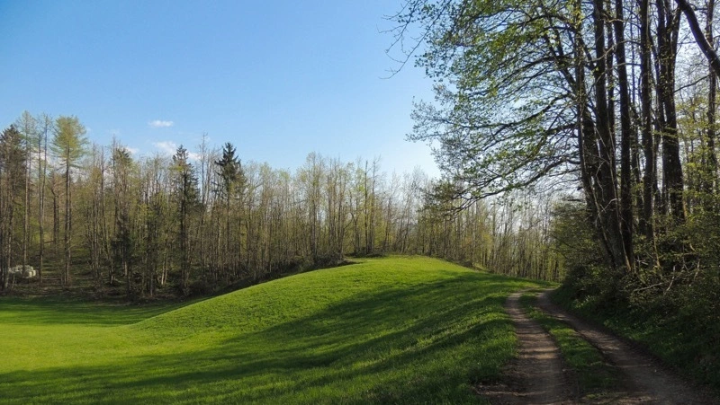 В Минтруде допустили увеличение выходных в мае за счет сокращения зимних праздников