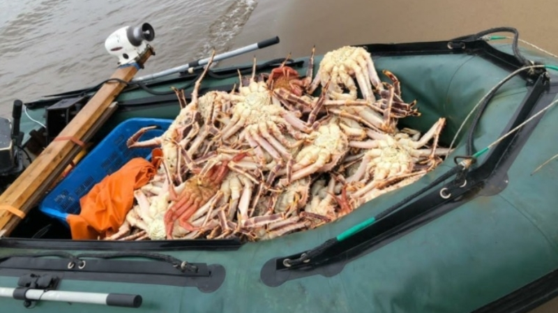 Рыбаков-браконьеров планируют ловить с помощью дронов