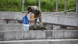 Более 40 миллионов мальков лососевых подготовили к выпуску в Поронайском районе