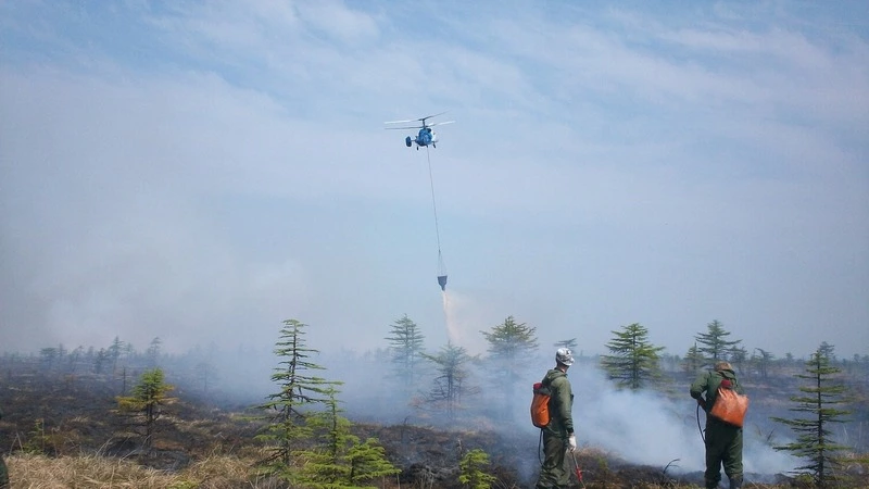 Пожары из-за квадроциклов. Огнеборцы рассказали, почему на Сахалине горят леса