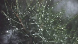 Синоптики уточнили прогноз погоды в Сахалинской области на 26 апреля