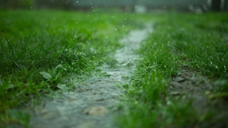 Небольшой дождь ожидается на всей территории Сахалинской области 14 июля 