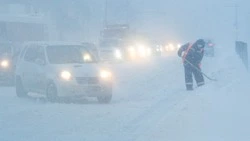 Метель накроет южные районы Сахалина вечером 1 декабря