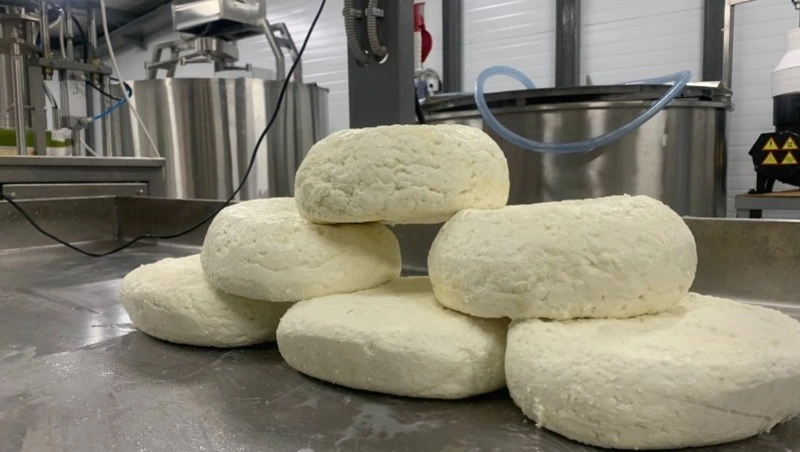 Семейная ферма запустила цех по переработке молока в Тымовском районе