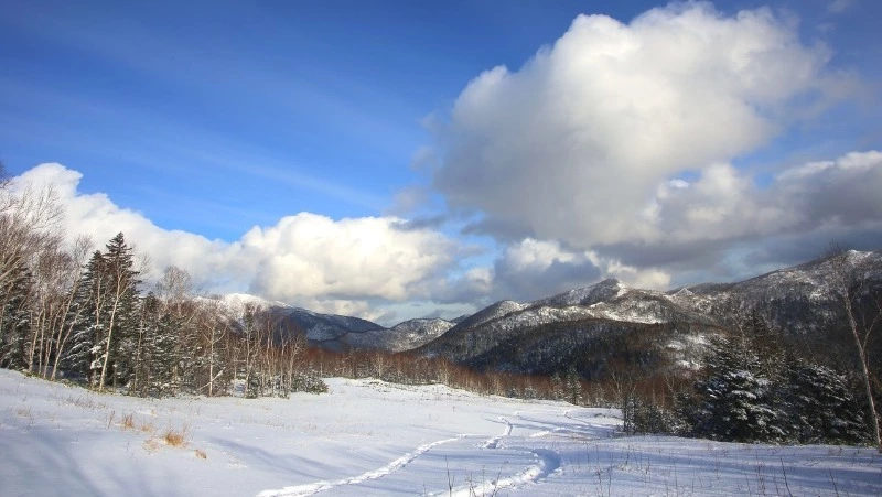 Снежная ночь и ясный день будут в Южно-Сахалинске 5 февраля 