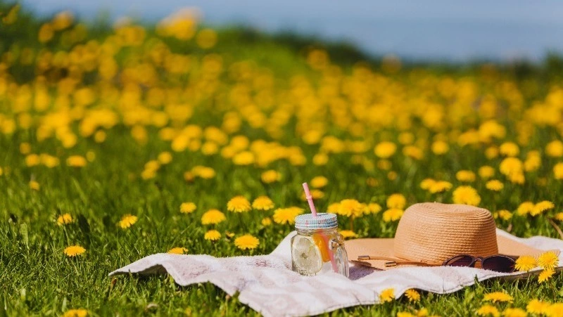 Теплый и солнечный день спрогнозировали синоптики в Южно-Сахалинске на 15 июля