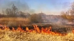 Сухая трава вспыхнула в Александровск-Сахалинском районе 17 мая