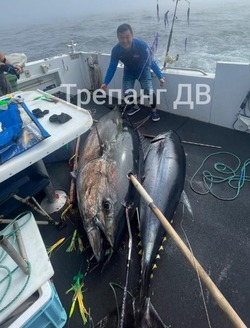 Рыбаки поймали колоссального тунца возле Итурупа