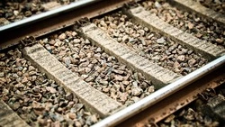 Грузовой поезд сбил насмерть мужчину в Холмском районе