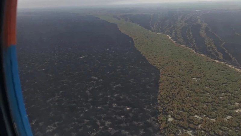 Появились новые видео с лесного пожара в Охинском районе