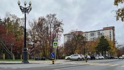 Эксперт объяснил эффективность «островков безопасности» в Южно-Сахалинске