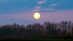 Приметы обо всем на 28 октября 2023 года: что можно и нельзя делать в этот день