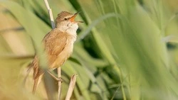 Приметы обо всем на 13 июня 2023 года: что можно и нельзя делать в этот день