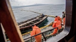 Россия приостановила японский морской промысел в зоне Курильских островов