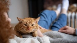 Отопление и горячую воду отключили у сотен жителей Южно-Сахалинска 12 февраля 