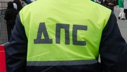 Водителя наказали рублем за избиение инспектора ДПС в Долинском районе