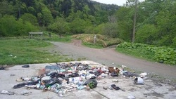 Фотографии свалки возле скандинавской тропы в Невельске опубликовали в соцсетях