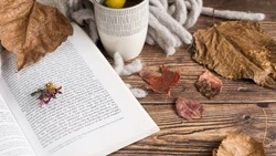 Зимняя рыбалка, День матери и «Губернатор года»: главные новости ноября-2024 на Сахалине