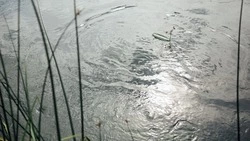 Прокуратура: на Сахалине в зону подтопления могут попасть 27 населенных пунктов