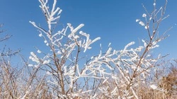 До -19 градусов и без осадков будет в Южно-Сахалинске 26 февраля