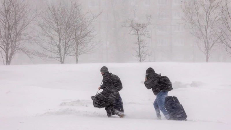 А марсиане не прилетали…