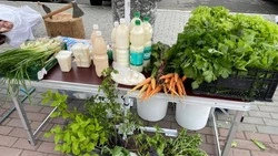 Много зелени: в Поронайске в выходные проходит сельхозярмарка