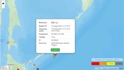Пять землетрясений произошло у берегов Курильских островов за сутки