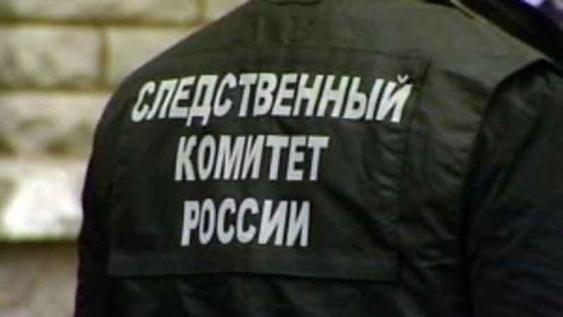 Следователи организовали проверку после схода снега с крыши на женщину в Южно-Сахалинске
