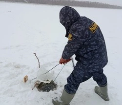 Сахалинская рыбоохрана оштрафовала браконьеров на 47 тысяч рублей