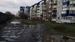 Автохамы в Южно-Сахалинске срубили дерево, чтобы ездить по газону