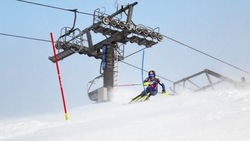 Два спортсмена с Сахалина завоевали бронзу на Кубке России по горным лыжам в Кировске