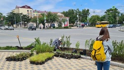 Цветы и кустарники появятся на перекрестках Южно-Сахалинска вместо заборов
