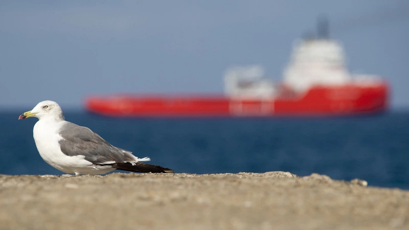 Нефтесервисным предприятиям на Сахалине помогут остаться на плаву