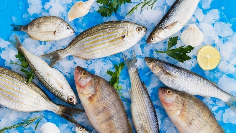 Экспорт рыбы и морепродуктов из Приморья и с Сахалина снизился в 1,5 раза